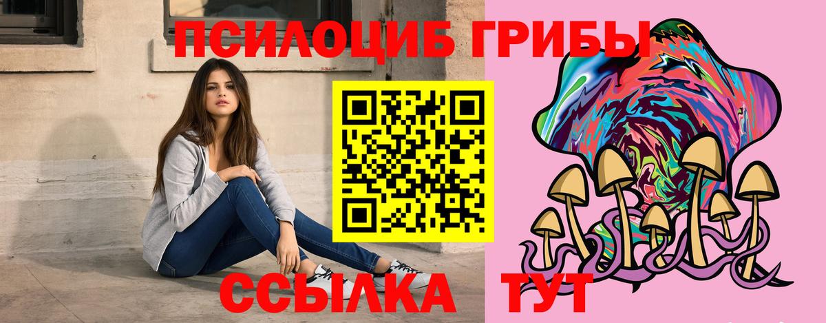 Псилоцибиновые грибы Psilocybe  Вход с VPN  цена наркотик  Тихвин 